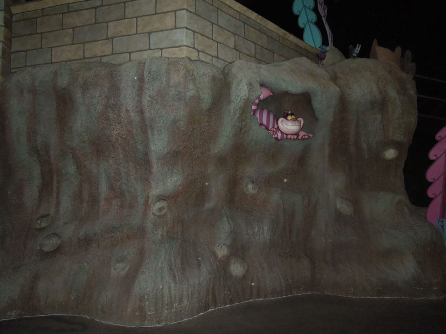 Disneyland Alice in Wonderland Picture